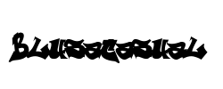 BlusaCasual - logo